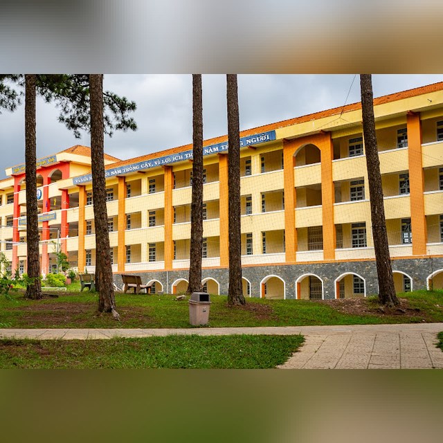 Trường THPT Trần Phú