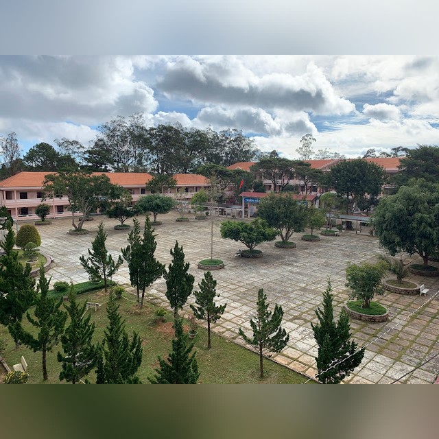 Trường THPT Bùi Thị Xuân