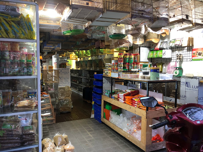 Cửa Hàng Chim Cảnh 317