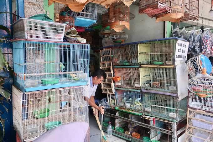 Cửa Hàng Mua Bán Chim Cảnh Lỳ