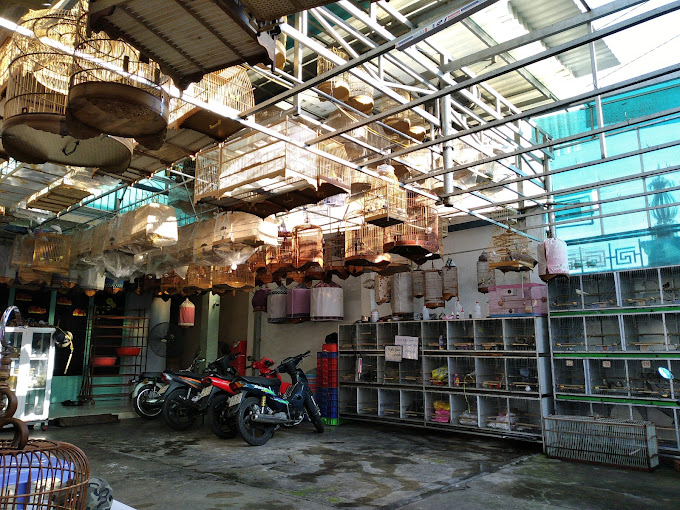 Cửa Hàng Chim Cá Cảnh Nguyên