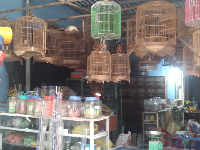 Top 8 cửa hàng chim cảnh tại Đà Lạt đẹp, giá tốt nhất 17 Top 8 cửa hàng chim cảnh tại Đà Lạt đẹp, giá tốt nhất