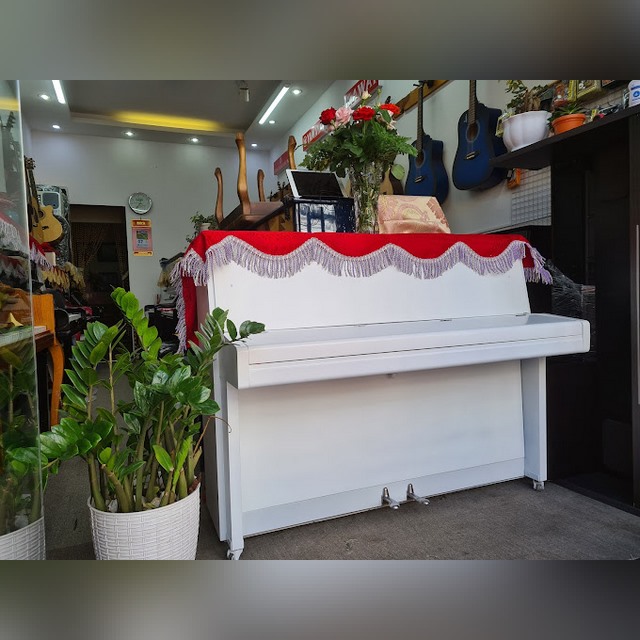 Cửa hàng Việt Bảo Music Studio Đà Lạt