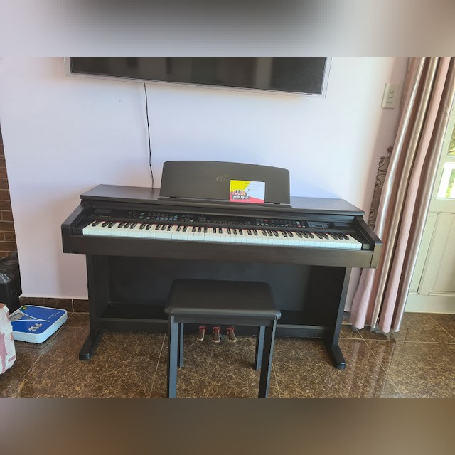 Guitar Organ Dalat - Hiệu Đàn Hoàng Hà