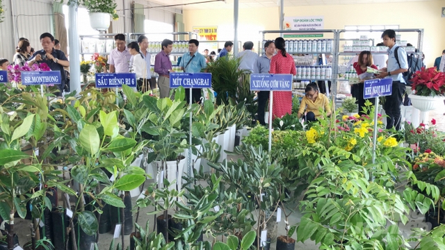 Trung tâm cây hoa giống Đà Lạt