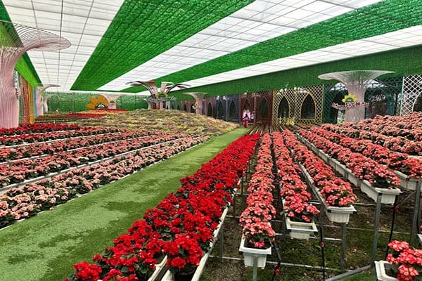 Làng Hoa Vạn Thành