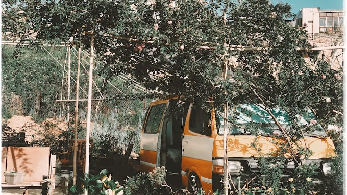 những chiếc bus đặc trưng