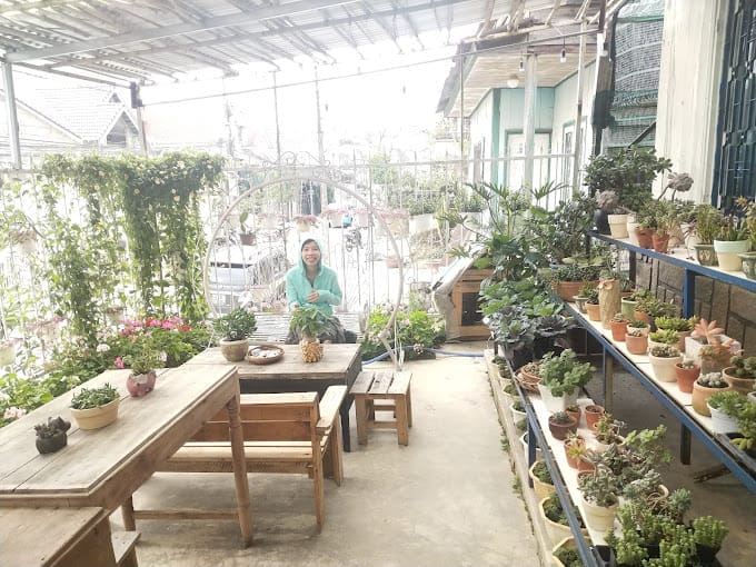 trồng cây tại Homestay 