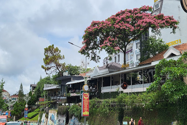 Cafe Nghệ Sỹ (Cafe Artista) view đồi