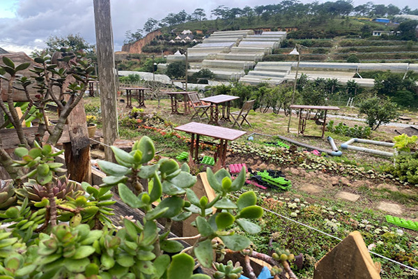 Nhà Nắng Mưa - Coffee & BBQ Garden