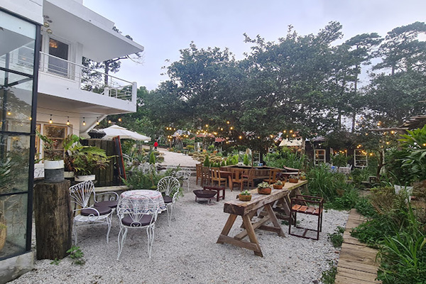 Near Coffee Đà Lạt