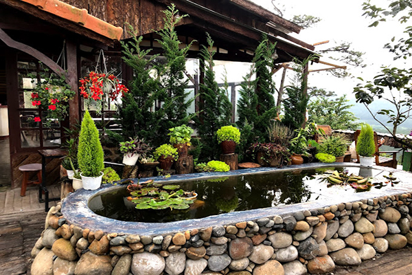 vườn cây và hòn non bộ