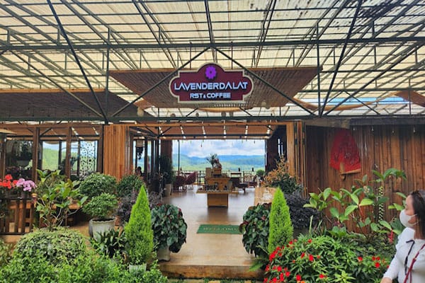 Lavenderdalat Cafe