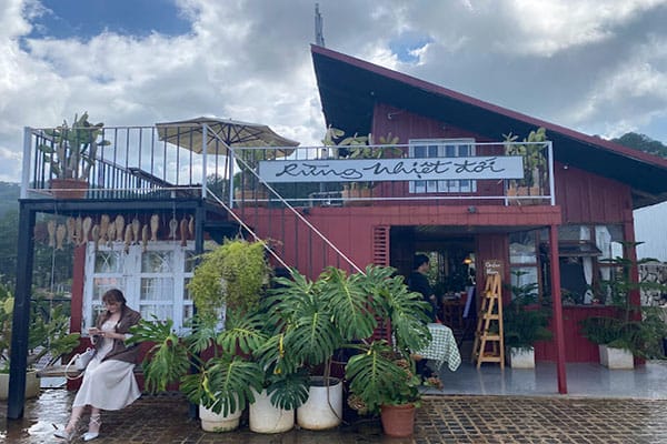 Rừng Nhiệt Đới Cafe