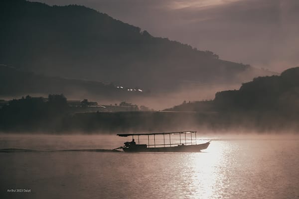 Cây thông cô đơn Đà Lạt - điểm đến nên ghé thử một lần 22 Đò chở khách đi Cây Thông Cô Đơn