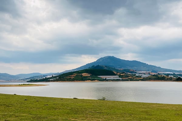 góc nhìn Núi Langbiang từ cây thông