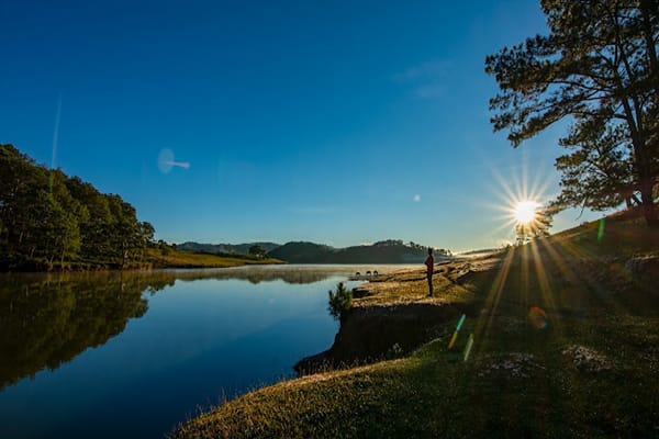 hồ nước ở cây thông