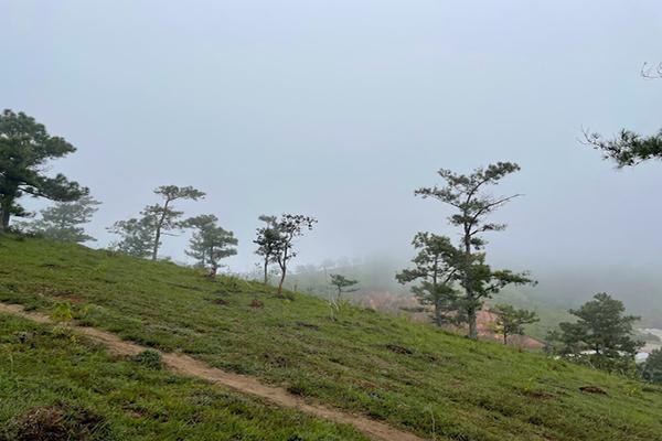 Săn Mây Đồi Đa Phú - săn mây Đà Lạt
