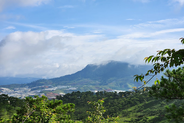 Top 14 địa điểm săn mây Đà Lạt gần đây đẹp nhất 46 Viewpoint Săn mây Đồi Đa Phú
