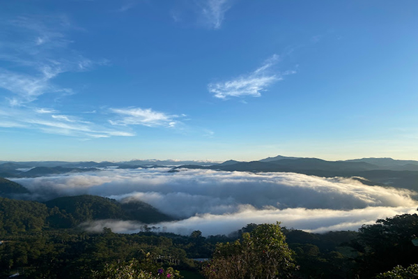 Săn mây Thích Thú Farm - Trang Trại Trên Mây