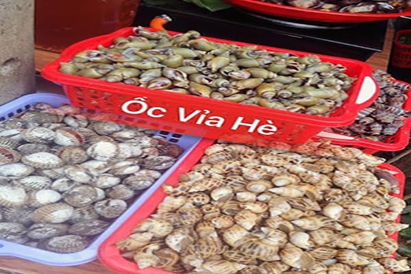 Ốc vỉa hè – Hai Bà Trưng