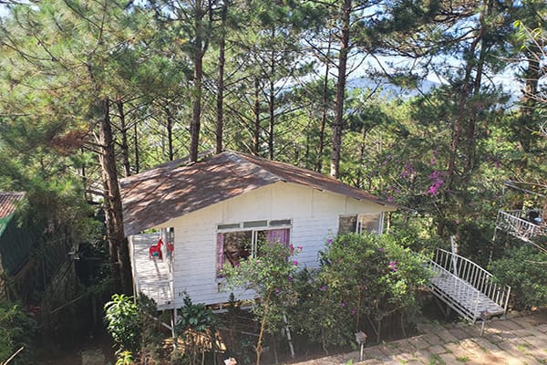 Pine Hill Homestay Đà Lạt có những tiện nghi nào