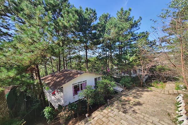 Pine Hill Homestay Đà Lạt – Khám phá căn nhà trên cây cực ấn tượng 16 Phòng Forest – Pine Hill Homestay Đà Lạt