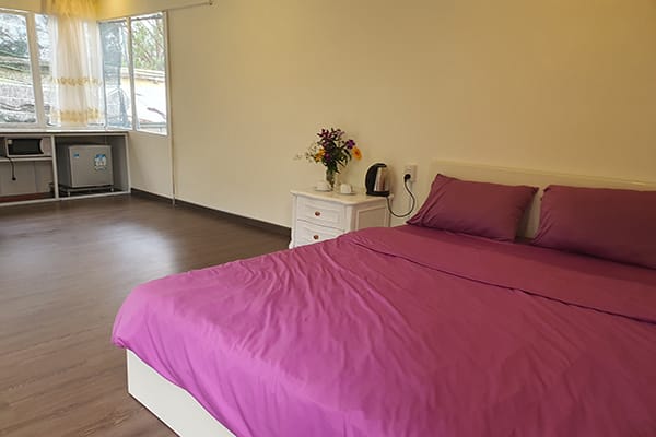 Pine Hill Homestay Đà Lạt – Khám phá căn nhà trên cây cực ấn tượng 14 Phòng Treehouse Small