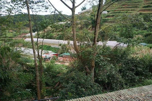 Top 9 nông trại Đà Lạt nhất định phải ghé thăm tại thành phố sương mù 27 Nông Trại của Thời Thanh Xuân