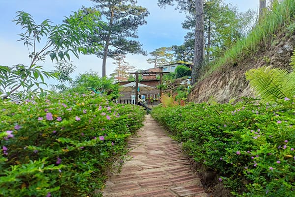 Đèo Mây Farm - Nông trại đẹp Đà Lạt