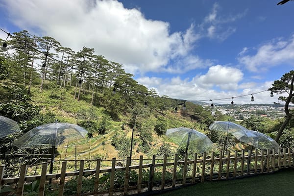 Top 9 nông trại Đà Lạt nhất định phải ghé thăm tại thành phố sương mù 33 Đèo Mây Farm - Nông trại đẹp Đà Lạt