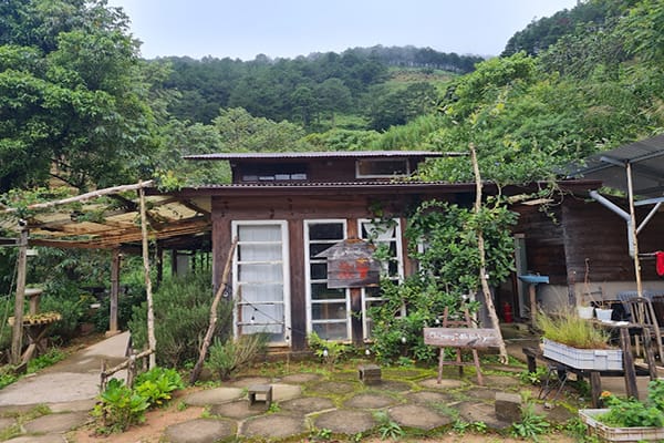 Nông Trại của Thời Thanh Xuân