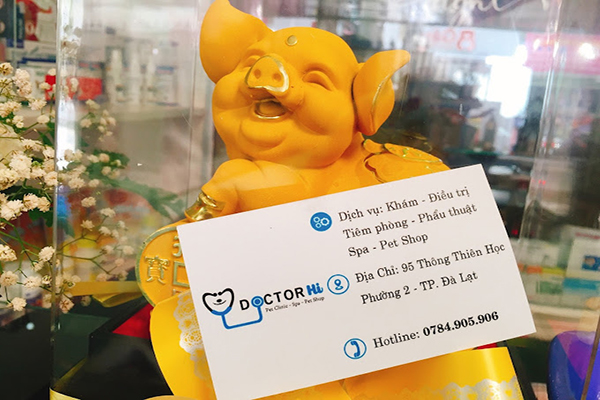 Top 8 phòng khám thú y Đà Lạt, chăm sóc thú cưng tốt nhất 16 Thú Y Doctor Hi