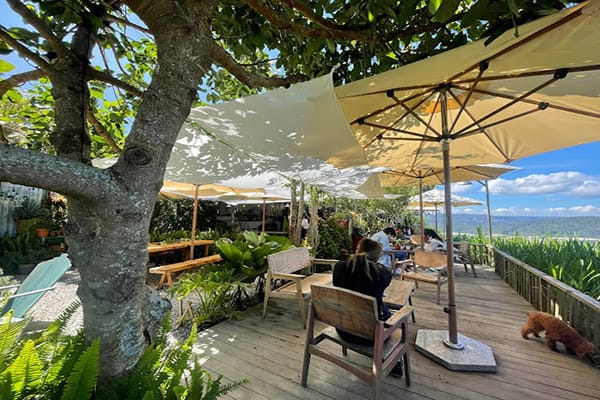 Top 15 quán cafe ngắm hoàng hôn đẹp và chill tại Đà Lạt 31 Tiệm cà phê Hoàng Hôn Chiều