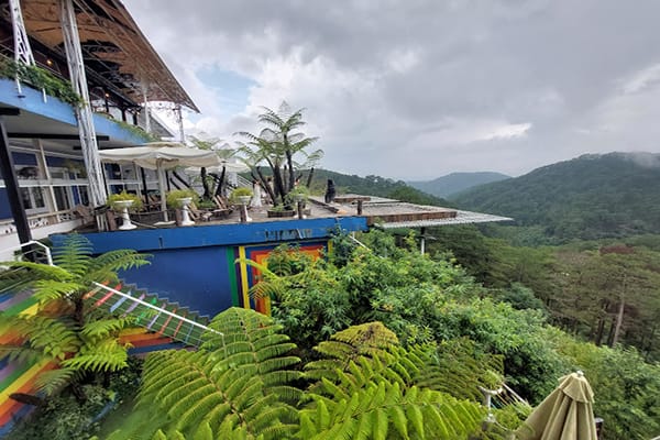 Top 15 quán cafe ngắm hoàng hôn đẹp và chill tại Đà Lạt 40 Thông Trước Nhà Cafe - cafe ngắm hoàng hôn Đà Lạt