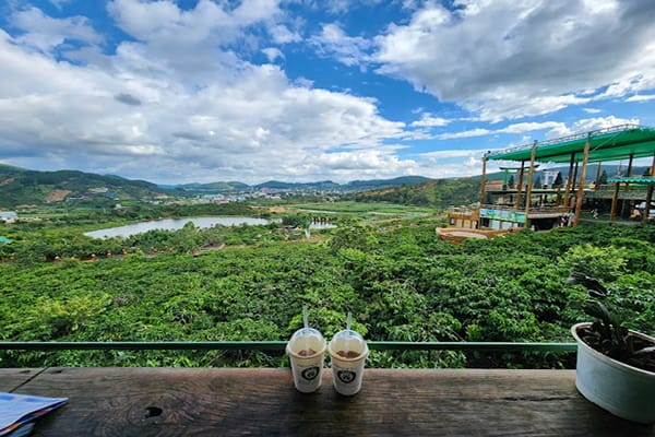 Đốn tim với những quán cafe ngắm bình minh ở Đà Lạt tuyệt đẹp 20 Mê Linh Coffee Garden