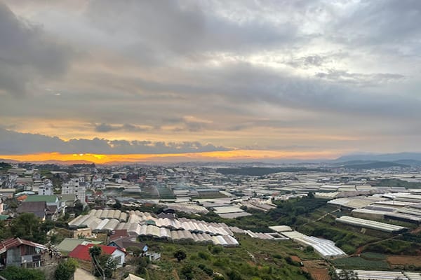 Đốn tim với những quán cafe ngắm bình minh ở Đà Lạt tuyệt đẹp 18 Panorama Cafe - quán cà phê view toàn cảnh