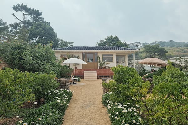 Top 13 quán cafe Hàn Quốc ở Đà Lạt dành cho tín đồ sống ảo 24 JJu Coffee Đà Lạt