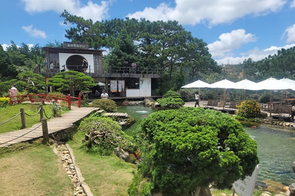 Top 13 quán cafe Hàn Quốc ở Đà Lạt dành cho tín đồ sống ảo 15 Kokoro Cafe - cafe đẹp Đà Lạt