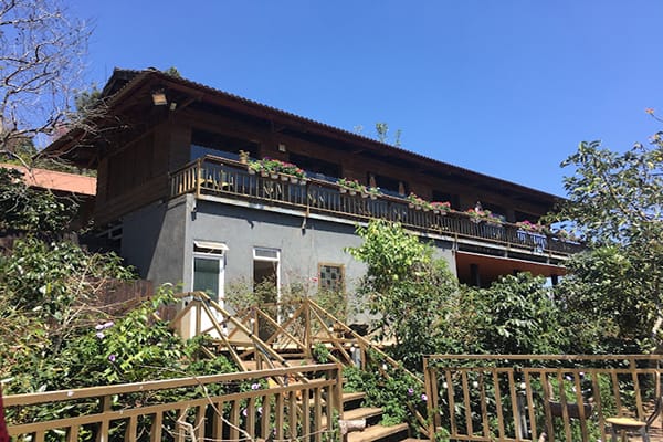 Top 13 quán cafe Hàn Quốc ở Đà Lạt dành cho tín đồ sống ảo 19 Mộc Trà Farm