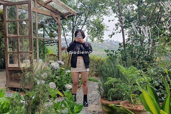 Top 13 quán cafe Hàn Quốc ở Đà Lạt dành cho tín đồ sống ảo 20 Khu Vườn Mùa Hè