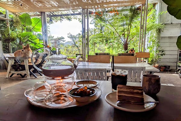 Top 10 Quán cà phê yên tĩnh ở Đà Lạt gần đây 14 Him Cafe - quán cafe chill yên tĩnh