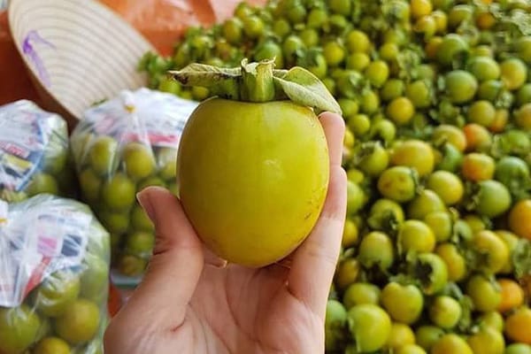 Đi Đà Lạt mua gì, lưu ngay 13 đặc sản Đà Lạt ý nghĩa thích hợp làm quà 29 Hồng dòn Đà Lạt