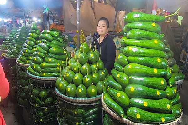 Đi Đà Lạt mua gì, lưu ngay 13 đặc sản Đà Lạt ý nghĩa thích hợp làm quà 30 BƠ