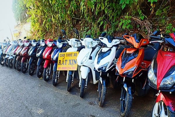 Top 14 địa chỉ cho thuê xe máy mới giá rẻ tại Đà Lạt 15 Cho thuê xe Rất Xịn