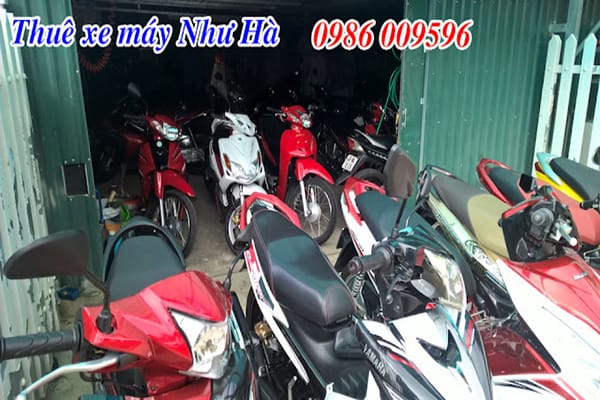 Top 14 địa chỉ cho thuê xe máy mới giá rẻ tại Đà Lạt 22 CHO THUÊ XE MÁY SƠN ĐÀ LẠT