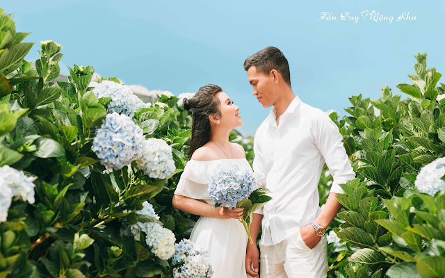 Top 25 tiệm ảnh cưới Đà Lạt thiên đường của những bộ ảnh cưới tuyệt vời 28 MyKat Studio