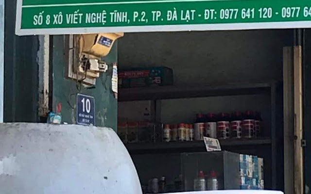 Top 6 Tiệm Cây Cảnh Độc Đáo Tại Đà Lạt – Nơi Cây Cối "Lên Sóng" Đẹp Như Tranh! 8 Vườn Sen Đá Đà Lạt