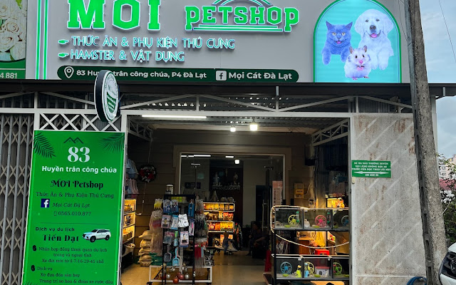 Top 2 Địa Điểm Bán Chuột Hamster Tại Đà Lạt 4 Moi Petshop Đà Lạt